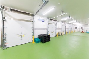 service_img002